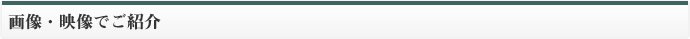 画像・映像でご紹介