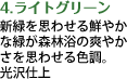 新緑を思わせる鮮やかな緑が森林浴の爽やかさを思わせる色調。光沢仕上